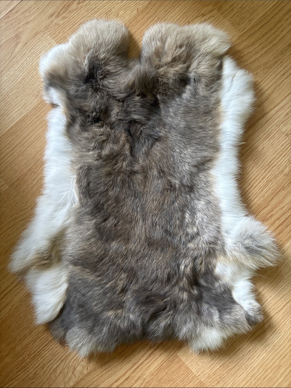 B0135 rabbit pelt